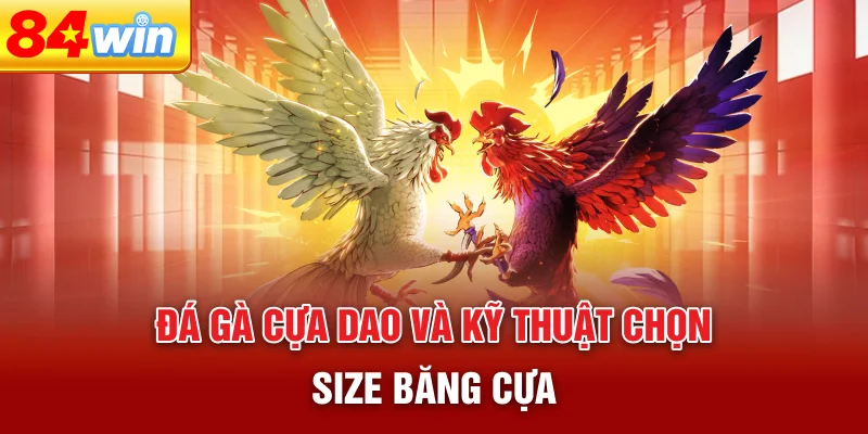 da-ga-cua-dao-va-ky-thuat-chon-size-bang-cua