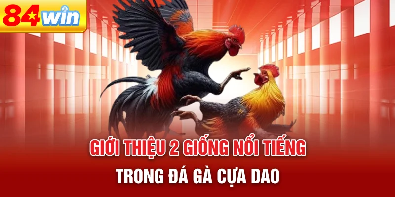 gioi-thieu-2-giong-noi-tieng-trong-da-ga-cua-dao