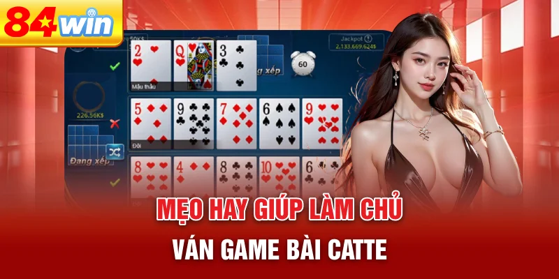 meo-hay-giup-lam-chu-van-game-bai-catte